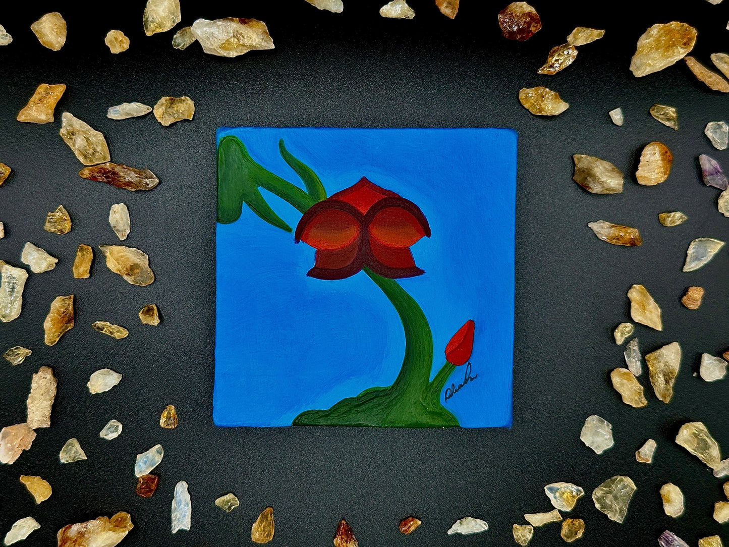 Volcano Queen Bloom
