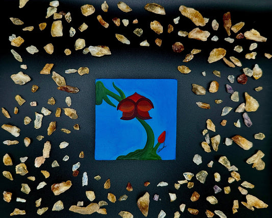 Volcano Queen Bloom